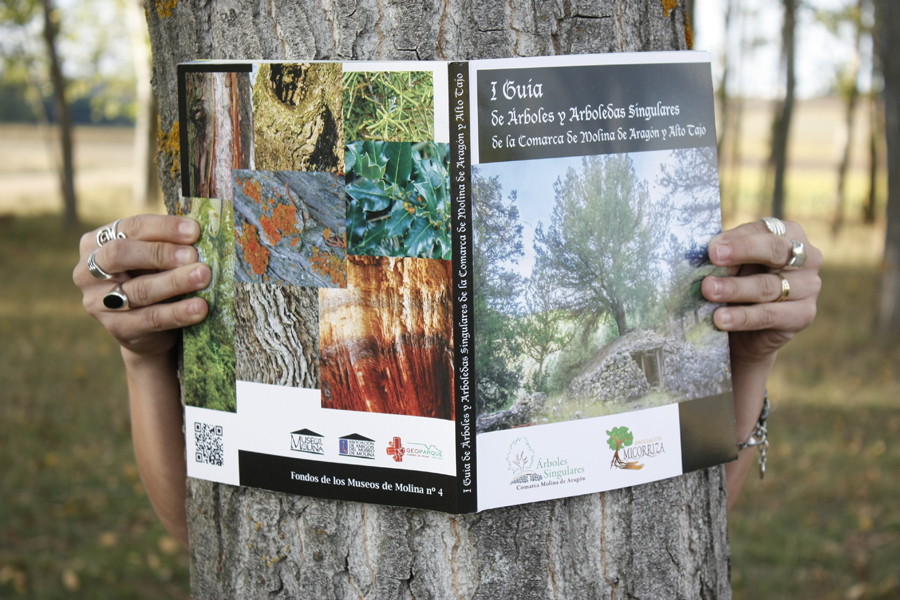 Guia De Arboles Y Arboledas Singulares De La Comarca De Molina De Aragon Y Alto Tajo Asociacion Micorriza Asociacion Micorriza
