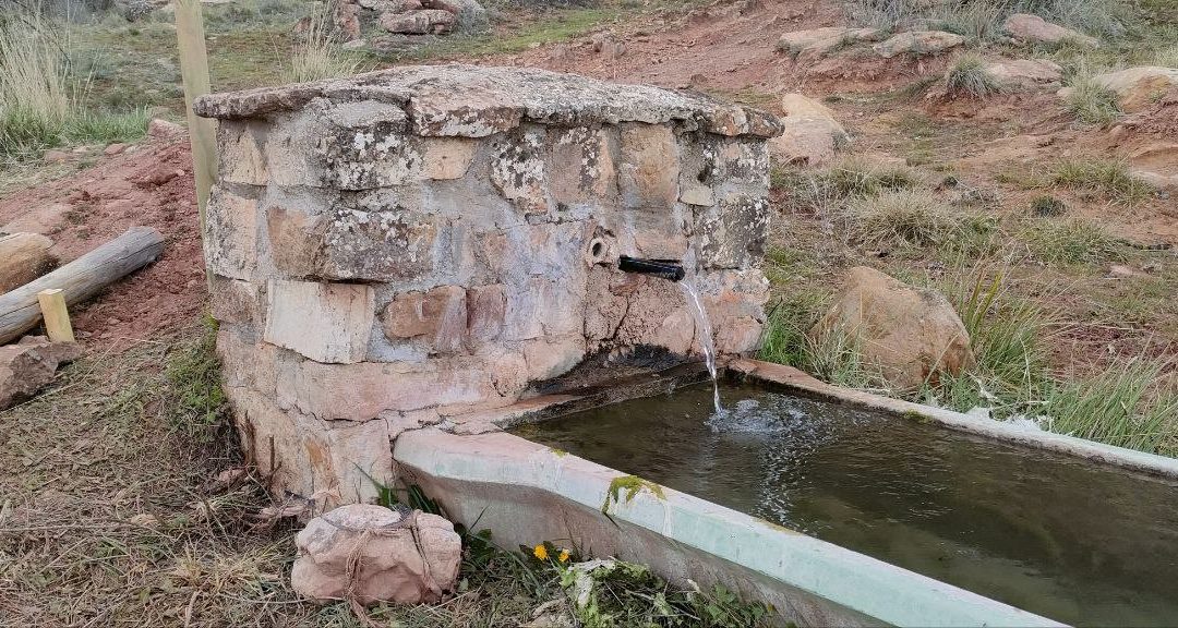 Vaya “chorrazo” de agua en la fuente de La Pinilla en Alcolea del Pinar