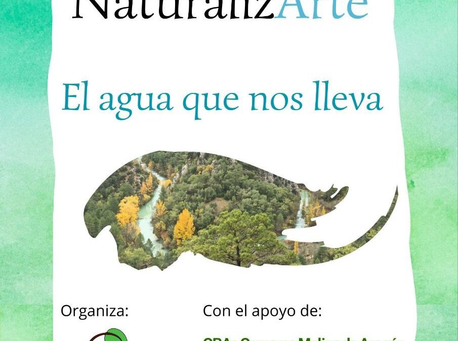 XI Certamen NaturalizArte – «El agua que nos lleva»