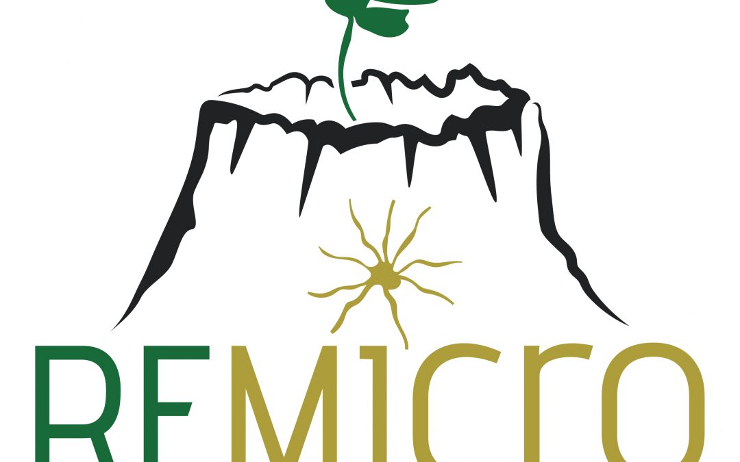 REMIcro: Restauración Ecológica Postincendio