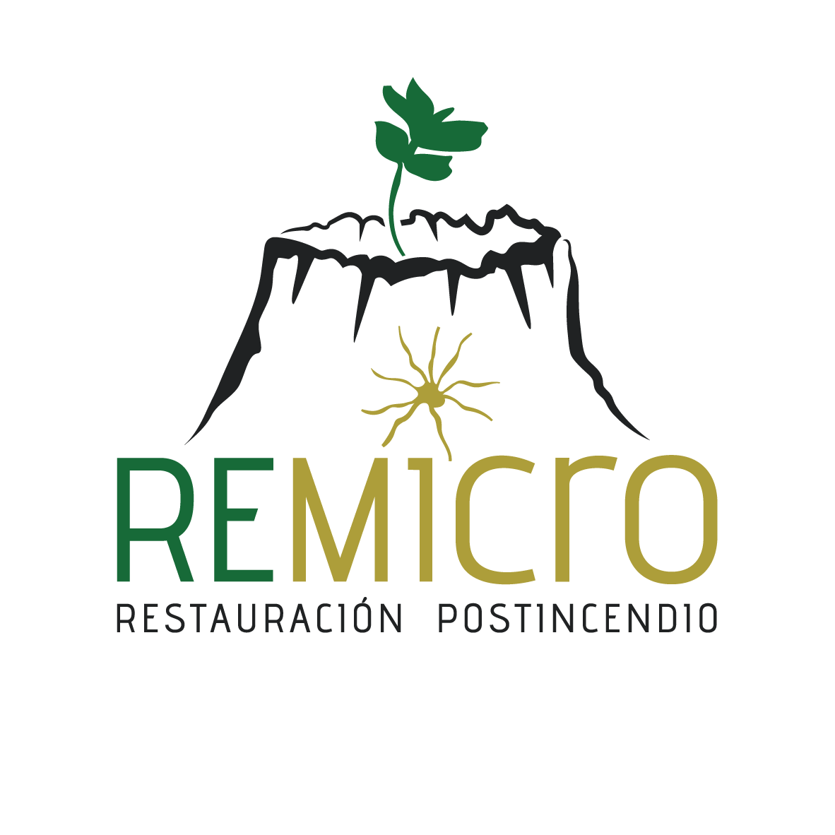 logo remicro Restauracion Ecologica postincendio