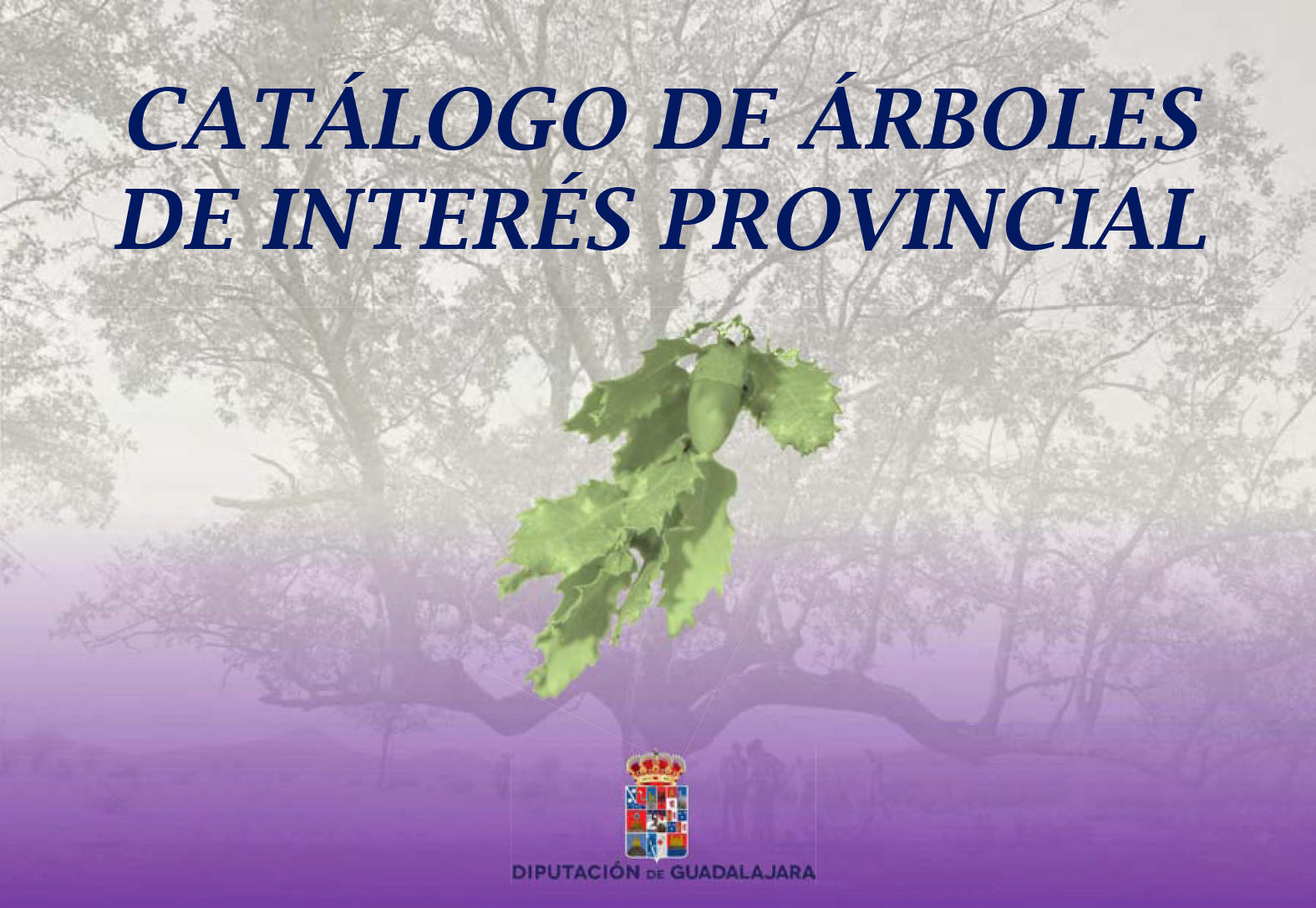 Catalogo Arboles Interes Provincial_asociacion micorriza