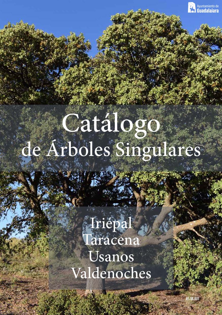catalogo-de-arboles-singulares-iriepal-taracena-valdenoches-y-usanos_asociacion micorriza