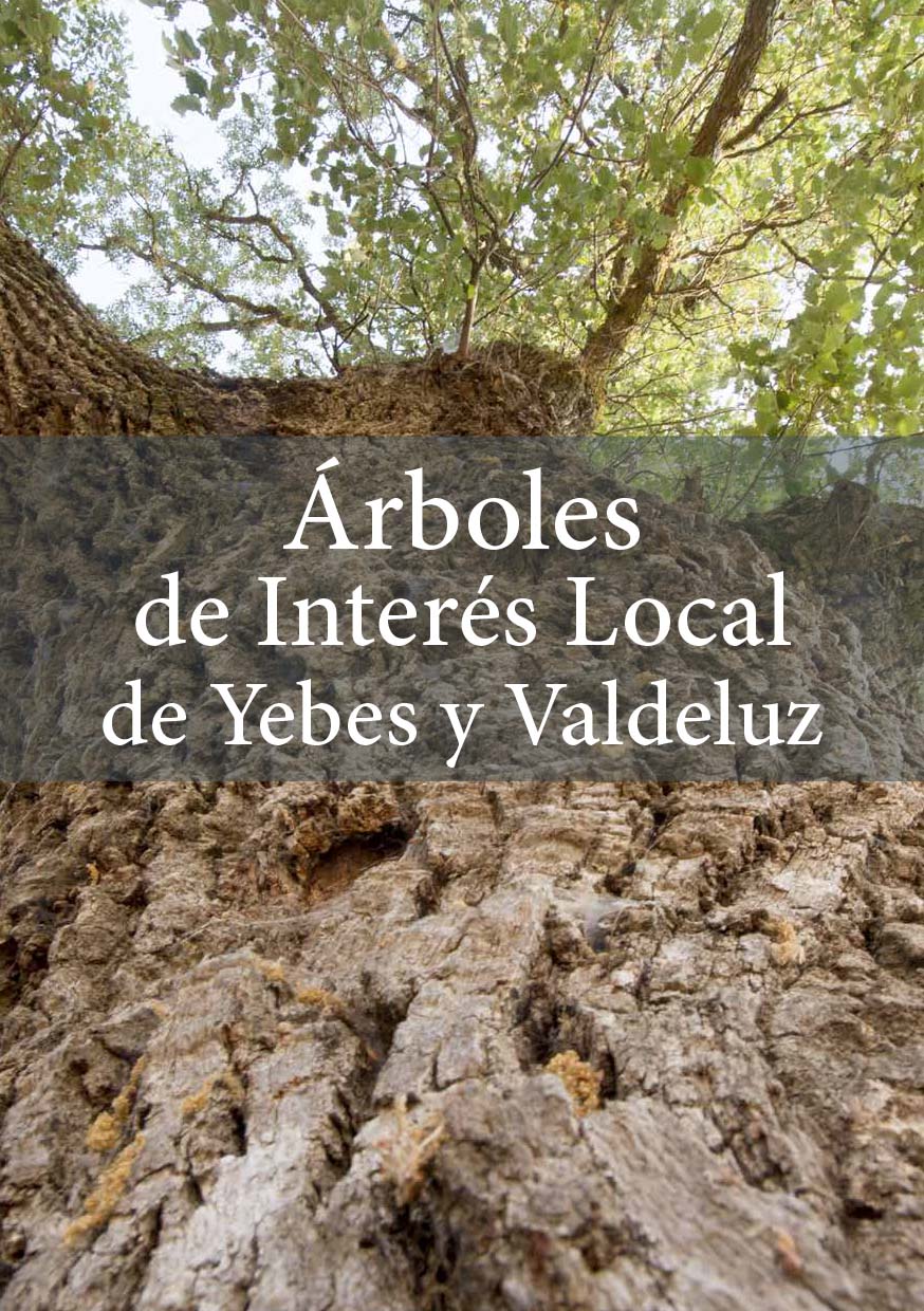 guia_arboles_intereslocal_asociacion micorriza